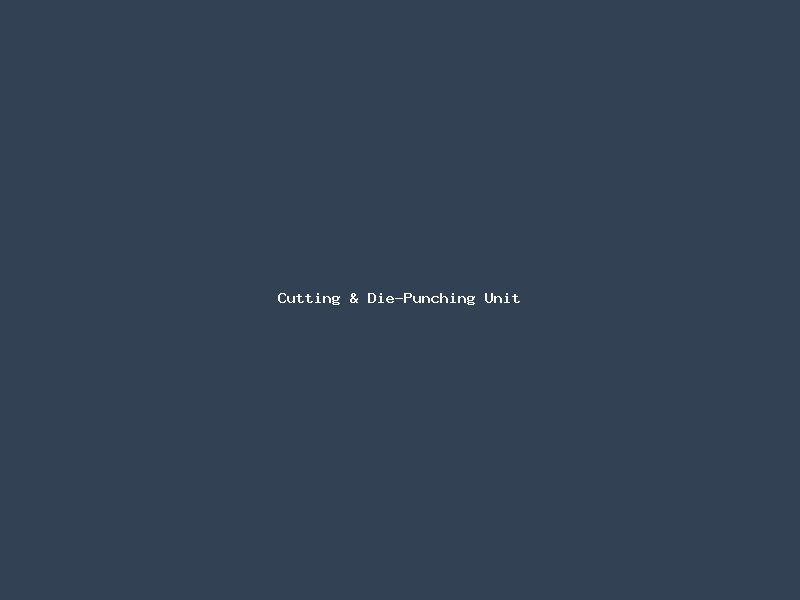 Cutting & Die-Punching Unit